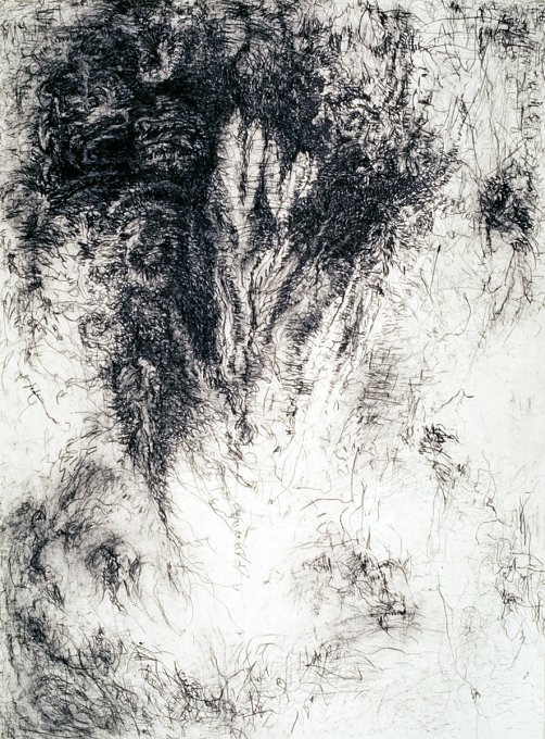 Strong Attractions, Subtle Repulsions IV,charcoal, Japanese rice paper
