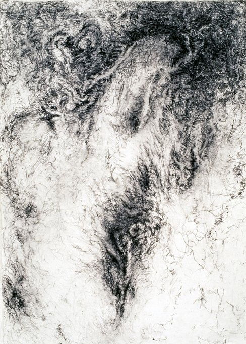 Strong Attractions, Subtle Repulsions VI,charcoal, Japanese rice paper