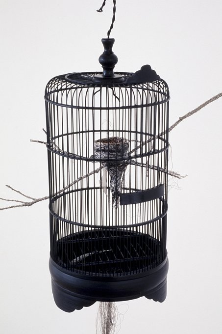 Things Past Cannot Be Recalled (detail),painted bamboo, stainless steel wire, twigs, chromed nest and feather